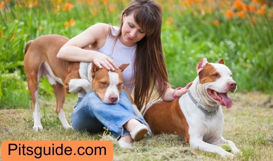 Natural Remedies for Pit Care