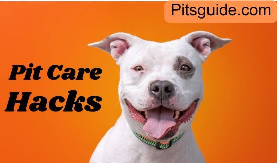 Pit Care Hacks