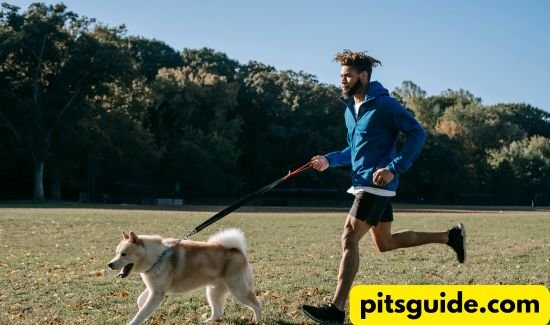 Building Blocks of Learning